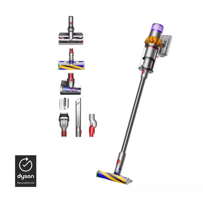 Aspirateur V15 detect absolute