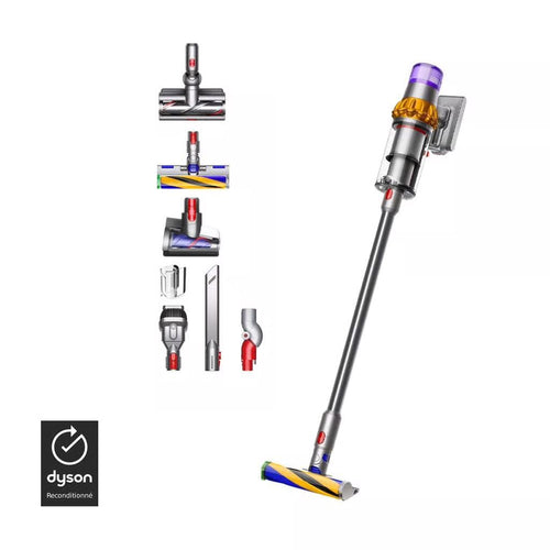Aspirateur V15 detect absolute