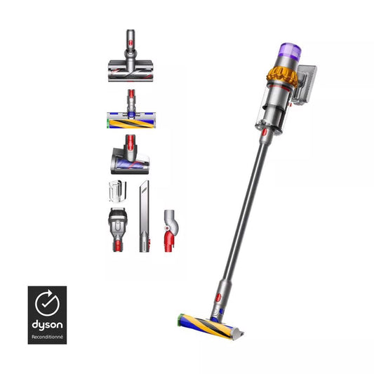 Aspirateur V15 detect absolute